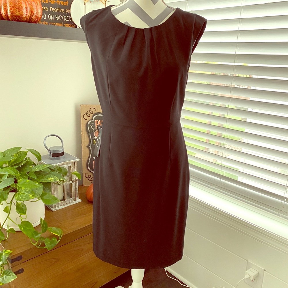 The Limited Dress